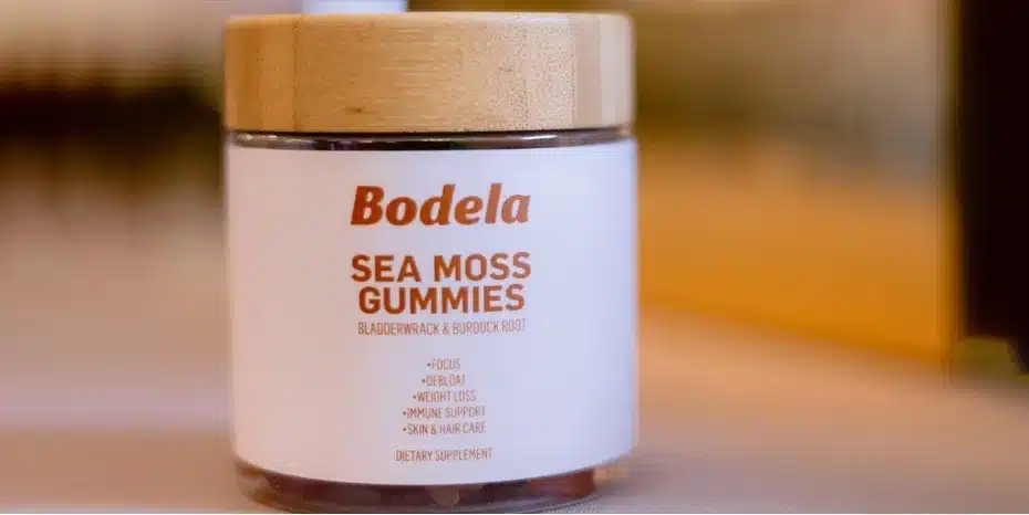 Bodela: Blending Body and Mind Wellness for Modern Individuals