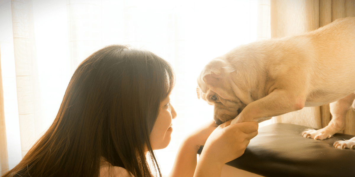 The Benefits of Dog Daycare- Social & Health Benefits