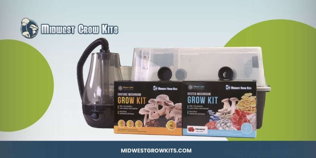 Midwest Grow Kits: Cultivating a Community of Mushroom Growers