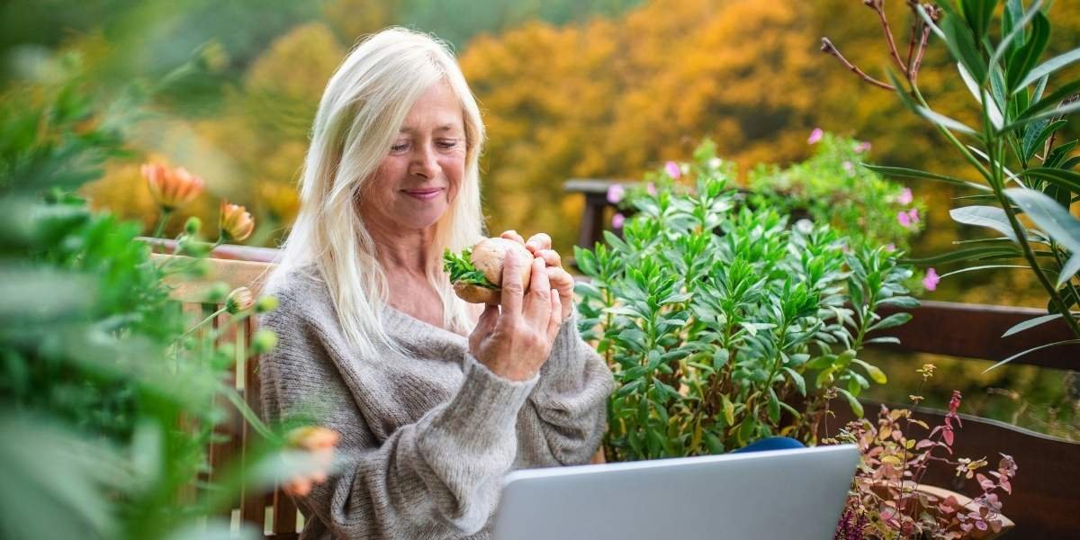 Keeping Seniors Active Nutrition's Role in Long-Term Mobility