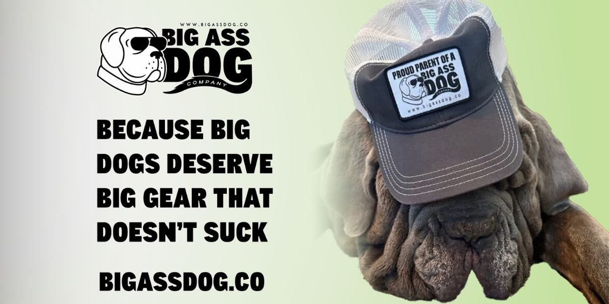 Finally, Products Built for Your Big Ass Dog: Introducing Big Ass Dog Company™