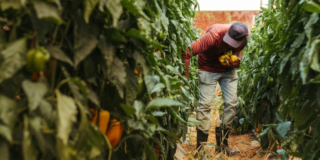 UC Alianza MX Launches Binational Research Grants