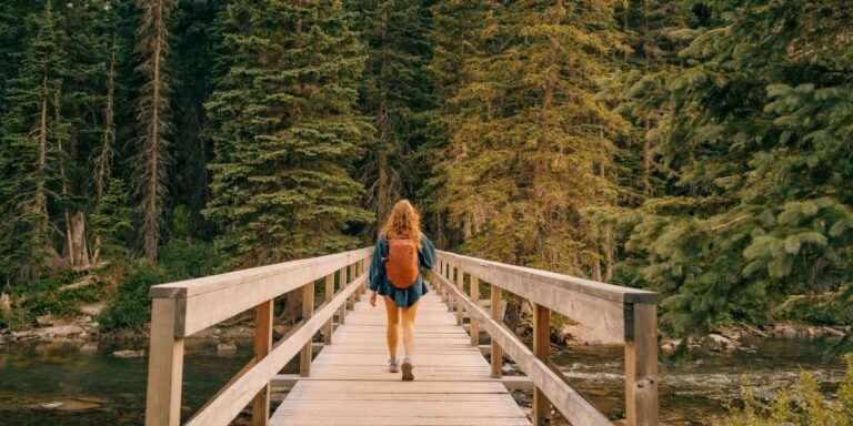 California State Parks Announce Free Admission on MLK Day