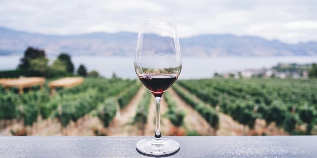 Napa Wine Country Shifts From Luxury Tasting to Community Experiences