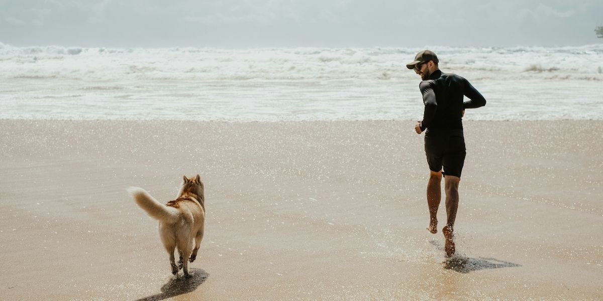 California Warns Beachgoers to Protect Pets After Bird Flu Cases