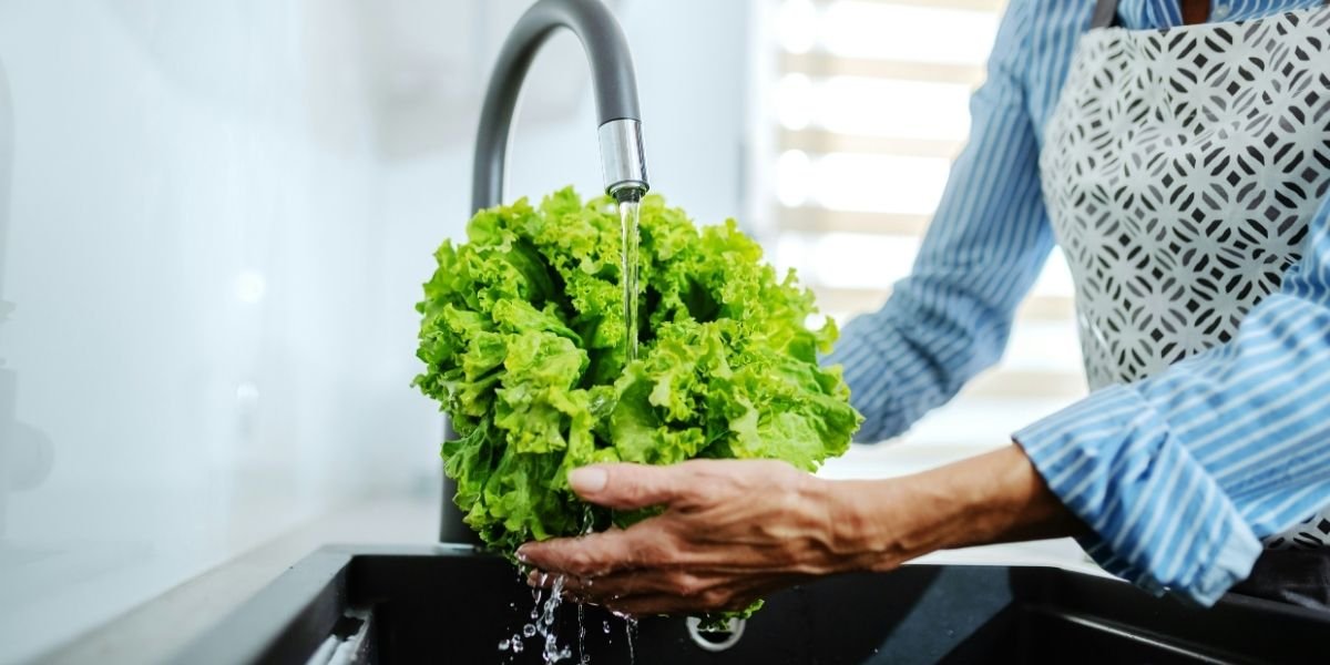FDA Says Taylor Farms Lettuce Test Was a False Positive