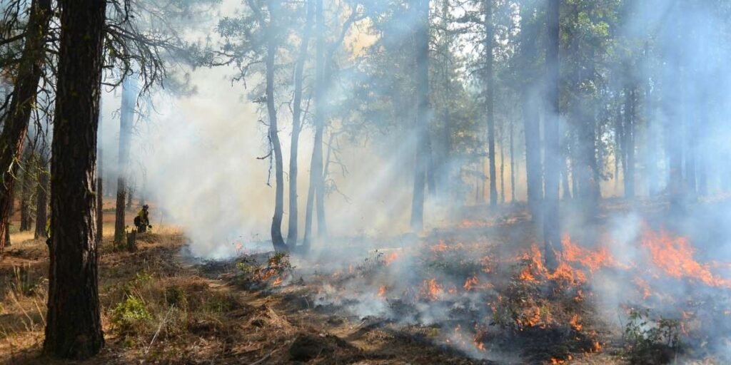 California Moves Toward Statewide Wildfire Smoke Standards