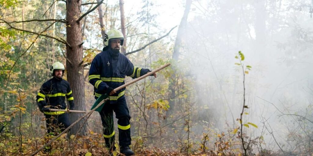 Lucas Fire Reaches 30% Containment in Northern California