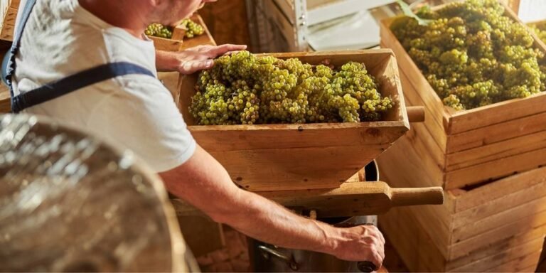 Napa Winery Bankruptcy Adds Pressure to California Wine Industry