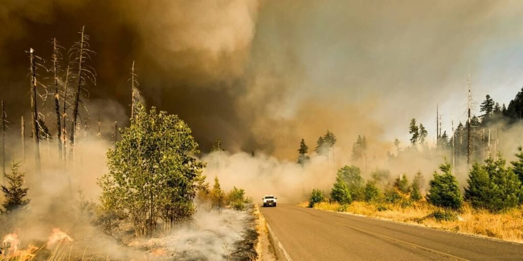 UC Davis Receives $14 Million Grant for Wildfire Smoke Study