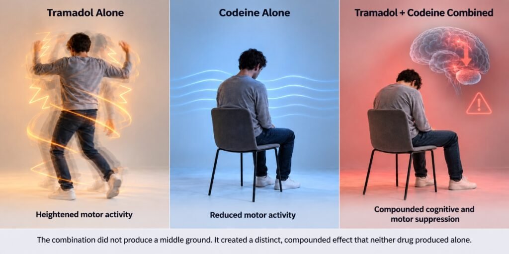 How Drug Combinations Can Quietly Turn Toxic: Lessons from Tramadol - Codeine Research