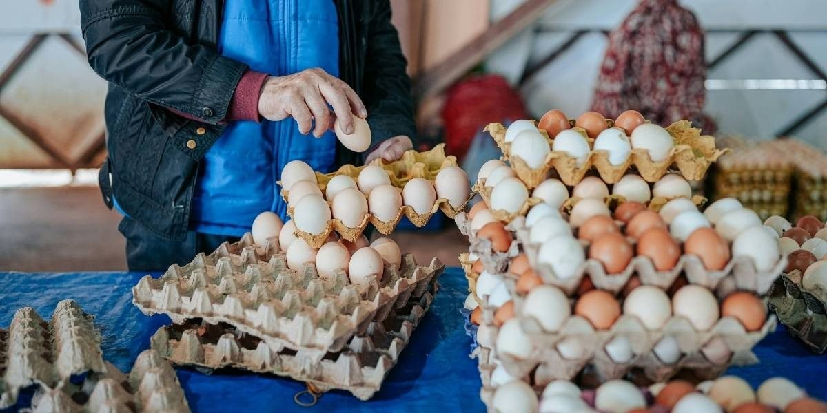 California Egg Recall Sparks Health Alert for Salmonella Risk