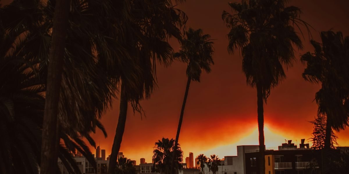 California’s Climate Anxiety Navigating Wildfires, Droughts, and an Uncertain Future