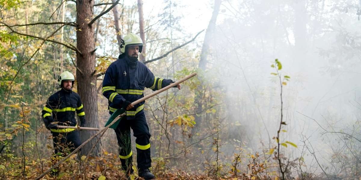 Lucas Fire Reaches 30% Containment in Northern California