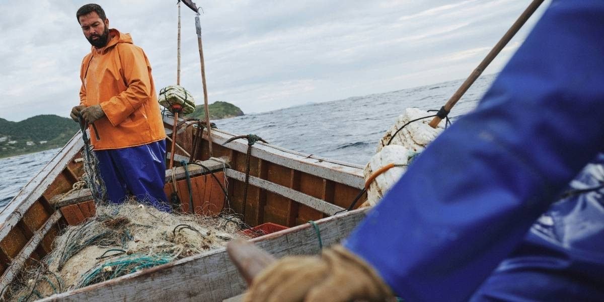 Northern California Abalone Harvest Ban Extended Amid Ecological Strain