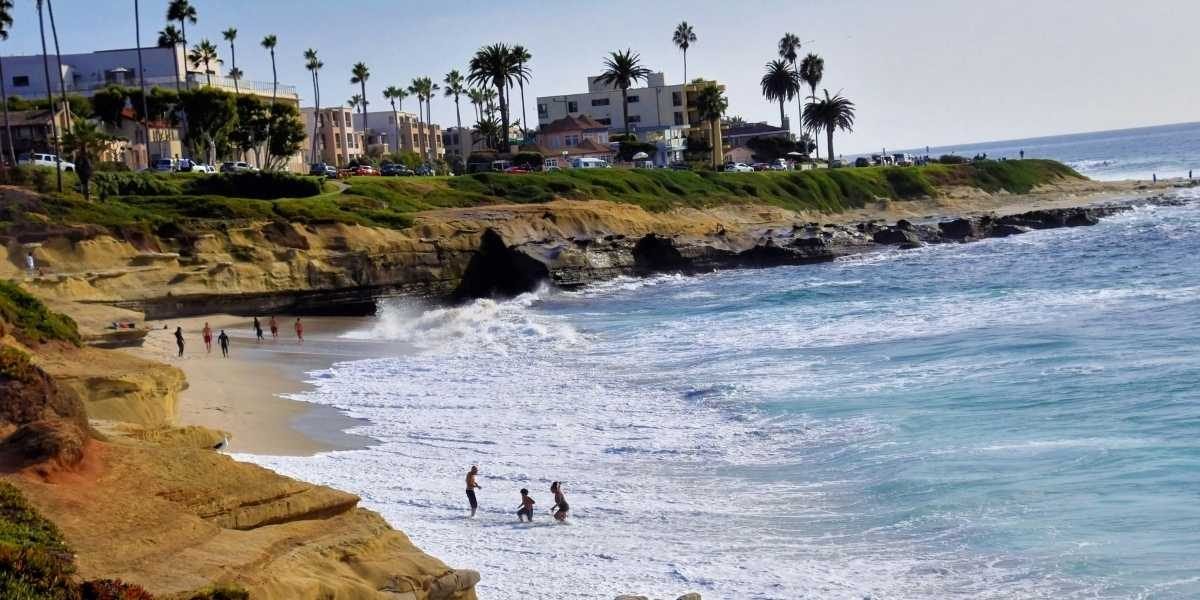 Shark Encounters Hit Record High Along California Coastline