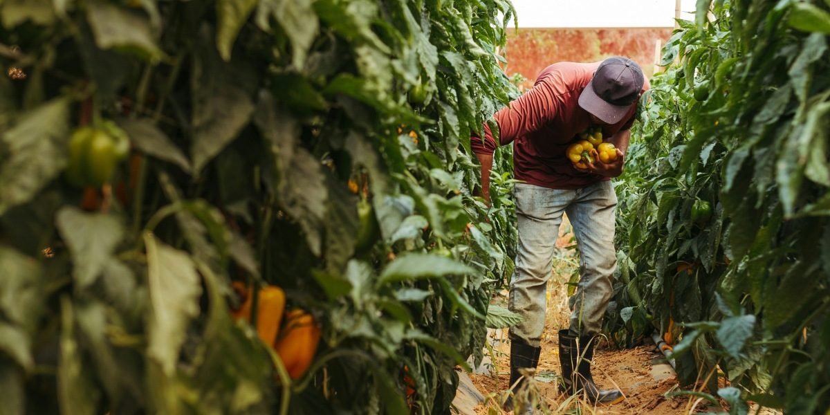 UC Alianza MX Launches Binational Research Grants