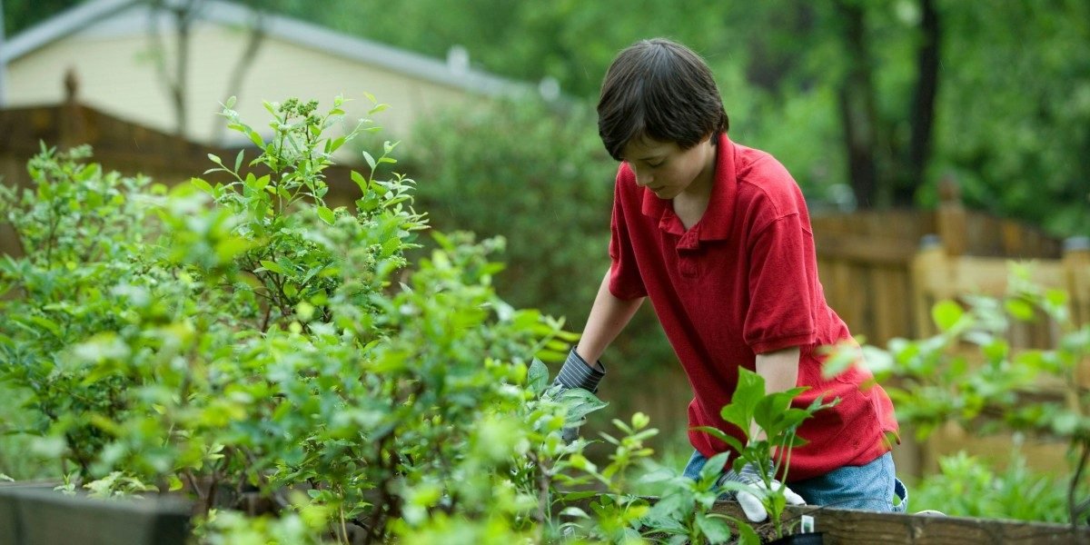 Photo Credit: Unsplash.com