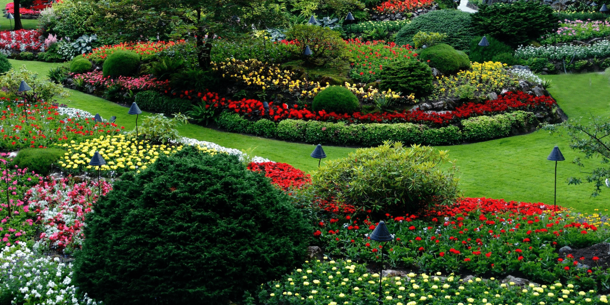 Image commercially licensed from: https://unsplash.com/photos/red-and-white-flower-garden-KcQuXaHCSPE